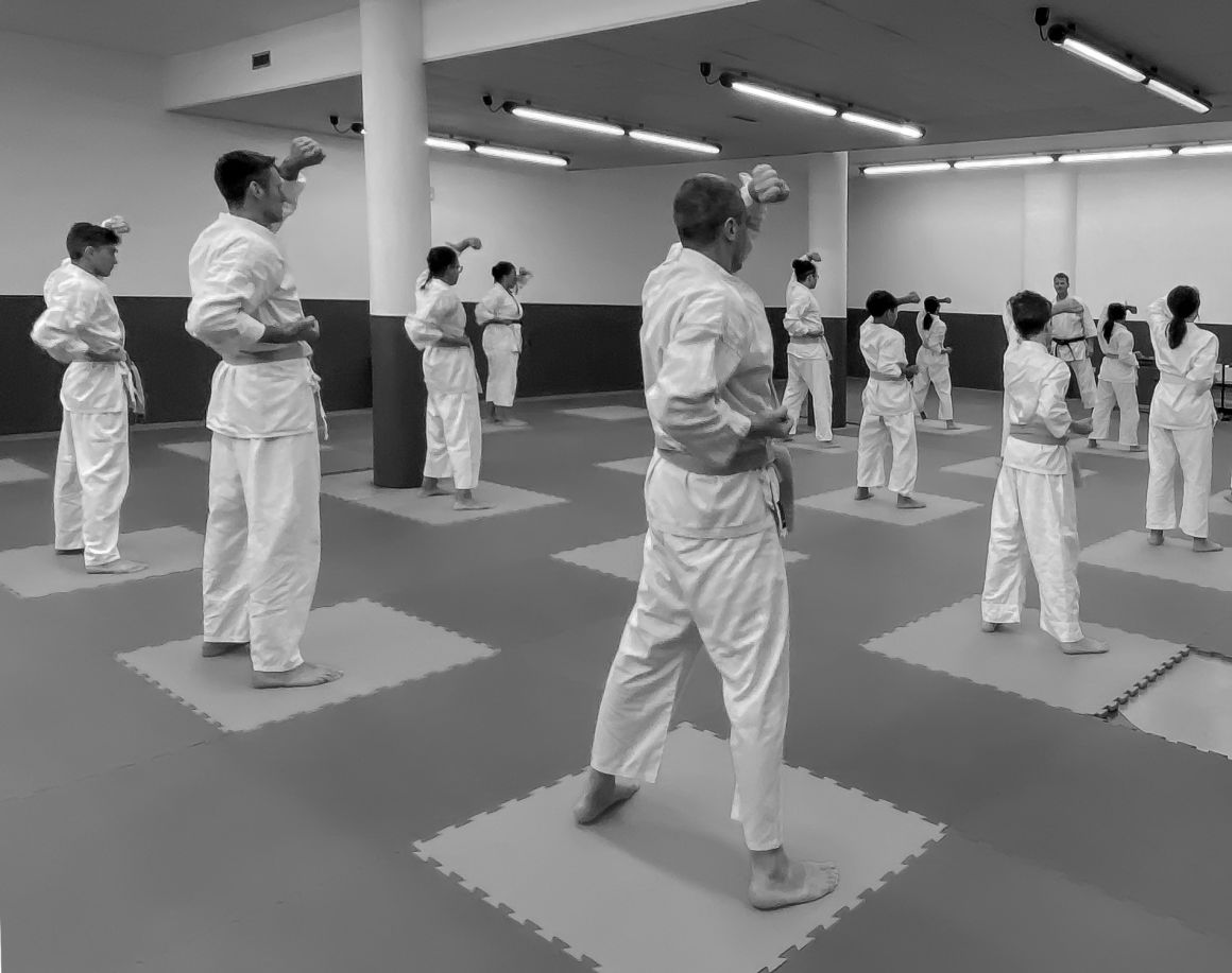 Karate adulti Tokon